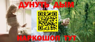 мдпв Камень-на-Оби