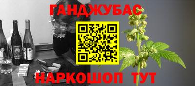мдпв Камень-на-Оби