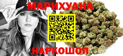 мдпв Камень-на-Оби