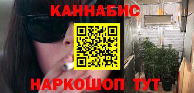 мдпв Камень-на-Оби