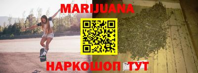 мдпв Камень-на-Оби