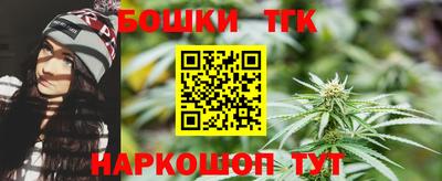 мдпв Камень-на-Оби