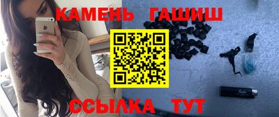 мдпв Камень-на-Оби