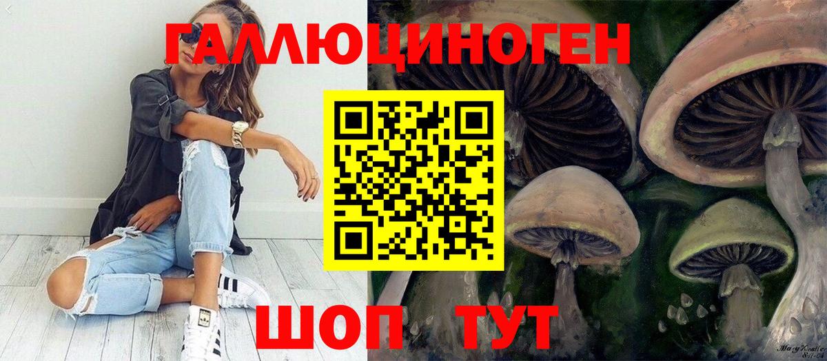 Псилоцибиновые грибы мицелий Алушта
