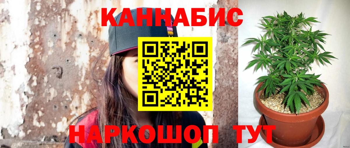 Марихуана OG Kush Алушта